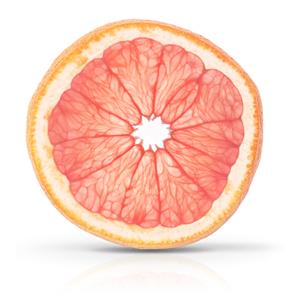 Grapefruit PNG-15253